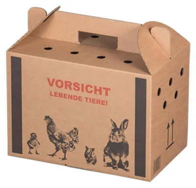 Produktbild von 10x Transportkarton für Kleintiere 320x200x230mm mit Tragegriff Luftlöchern und Automatikboden - Größe S