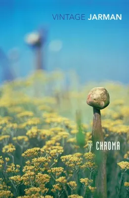 Zdjęcie produktu dla Chroma