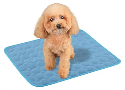 Immagine prodotto di Tappetino refrigerante per cani e gatti, blu, 55 x 70 cm, lavabile, coperta refrigerante