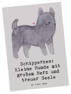 Produktbild von Mr. & Mrs. Panda Postkarte Schipperkes Herz - Grau Pastell - Geschenk, Ansichtskarten, Fotokarte, Hunderassen Pflege, Hunderasse, Ansichtskarte, Beschreibung, Postkarten