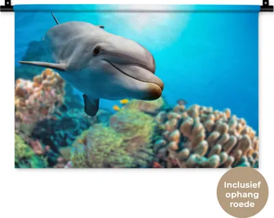Produktbild von MuchoWow® Wandteppich Wandbehang Delfin - Meer - Koralle 60x40 cm Tapisserie Dekoration Wandtuch - Wanddekorationen