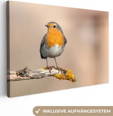 Produktbild von MuchoWow® - Leinwandbilder - Rotkehlchen - Vogel - Zweig - Tiere, Wandbild, Wanddeko Bilder Wohnzimmer, 120x80 cm
