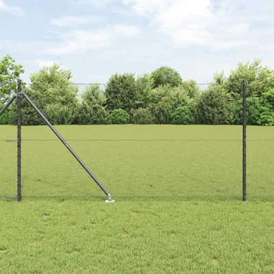 Produktbild von Maison Exclusive - Schweißdrahtzaun mit Spikes 100 x 1 m (B x H)