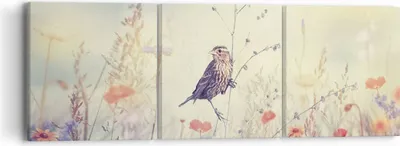 Produktbild von Bild auf Leinwand - Leinwandbild - 3 Teile - Vogel Wildschwein Wiese - 90x30cm - Wand Bild - Wanddeko - Wandbilder - Leinwanddruck - Bilder - Wanddekoration - Leinwand bilder - Wandbild - CA90x30-4279