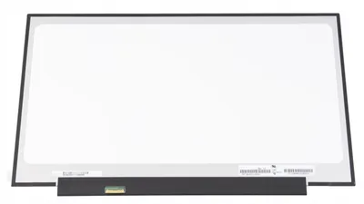 Obrázok produktu pre Displej N173FGA-E34