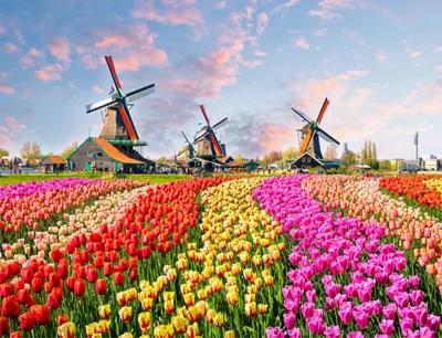 Productafbeelding van Gaira Schilderen op nummer, Nederland