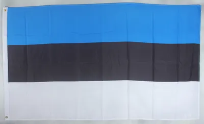 Produktbild von Flagge Fahne : Estland Nationalflagge Nationalfahne
