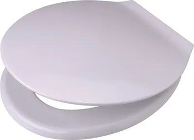 A white toilet seat and lid are shown from a slightly elevated side angle against a white background.