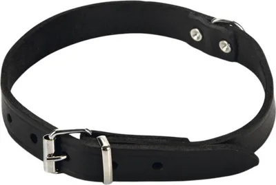 Produktbild von Beeztees - Hundehalsband - Leder - schwarz - 37,5-46,5 cm x 20 mm