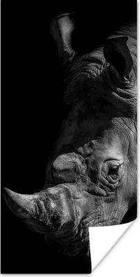 Produktbild von MuchoWow® Poster Nahaufnahme eines Nashorns auf schwarzem Hintergrund 20x40 cm - Plakat - Foto