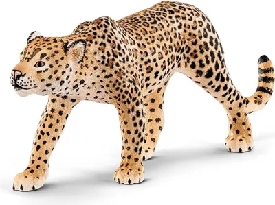 Immagine prodotto di Leopardo
