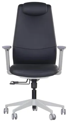 Immagine prodotto di Sedia girevole ergonomica da ufficio SELLA GF, base in nylon, braccioli e poggiatesta regolabili, estensione del sedile, rivestito in ecopelle, struttura grigia, rivestimento nero