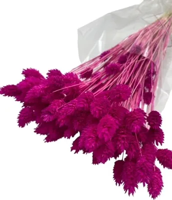 Image de Fleurs séchées, alpiste, bouquet de céréales, style bohème rose