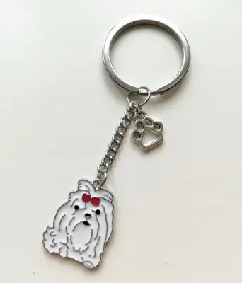 Immagine prodotto di Ciondolo Chiave Ciondolo Chiave Cane Bianco Malteser