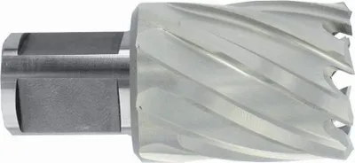 Produktbild von Tivoly Metalo gręžimo freza Ø14X60X30 мм HSS, tvirtinimas Ø19 мм, Weldon