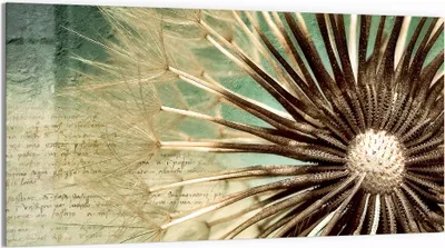 Produktbild von DEQORI Glasbild Echtglas 100x50 cm 'Verborgene Schönheit' Wandbild Bild modern Deko