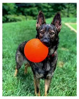 Produktbild von Hundespielzeug Ball Bounce'n'Play, 15,2 cm, orange