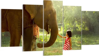 Produktbild von Bild auf Leinwand - Leinwandbild - Elefant Tier - 160x85cm - Wand Bild - Wanddeko - Wandbilder - Leinwanddruck - Bilder - Kunstdruck - Wanddekoration - Leinwand bilder - Wandkunst - EA160x85-3884