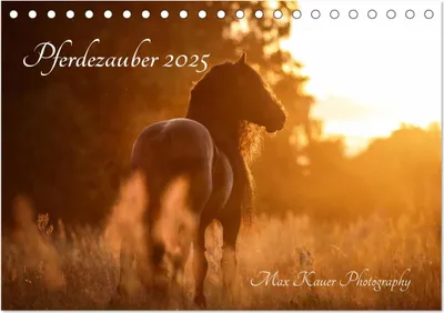 Produktbild von Pferdezauber 2025 (Tischkalender 2025 DIN A5 quer), CALVENDO Monatskalender