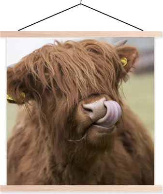 Produktbild von MuchoWow® Textilposter Schottisches Hochlandrind - Braun - Tiere 120x120 cm mit holzfarbenen Rahmen - Textil-Poster