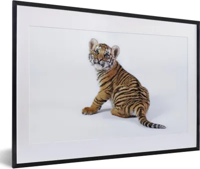 Produktbild von MuchoWow® Gerahmtes Poster Jungtier - Tiger - Tier 60x40 cm - Poster mit Schwarzem Bilderrahmen Wandposter Rahmen Foto Bilder - Schlafzimmer - Plakat in Rahmen - Drucken