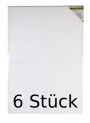 Produktbild von 6x Artist Keilrahmen 70x100cm Leinwand Holzrahmen Malwand Künstlerleinwand Bild