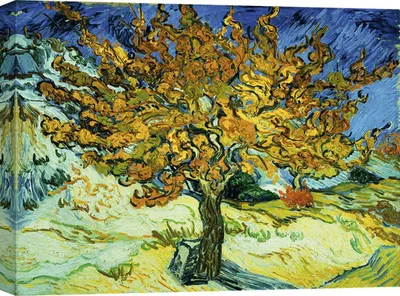 Immagine prodotto di Stampa su tela - Vincent van Gogh, Gelso - 70x50 cm