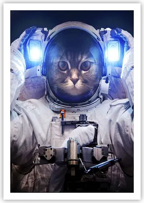 Produktbild von Poster - Poster ohne Rahmen - Kosmonaut Katze - 70x100 cm - Wand Bild - Wanddeko - Wandbilder - Kunstposter - Wandposter - Bilder - Kunstdruck - Wanddekoration - Wandbild - P2XPA70x100-3734