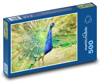 Zdjęcie produktu dla martinpuzzle - Puzzle 500 - Páv