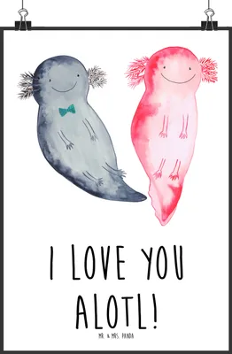 Produktbild von Mr. & Mrs. Panda Bild Axolotl Liebe DIN A1 - Weiß - Geschenk, Hochzeitstag, wanddeko, Wanddekoration, für Partner, Frauen, Freundin, Mitbringsel, Posterdruck, drucke
