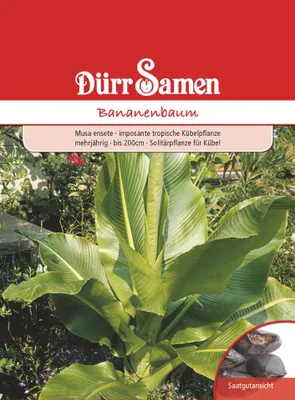 Produktbild von Bananenbaum | Bananenbaumsamen von Dürr Samen