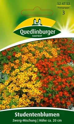 Produktbild von Studentenblume, Zwerg-Mischung