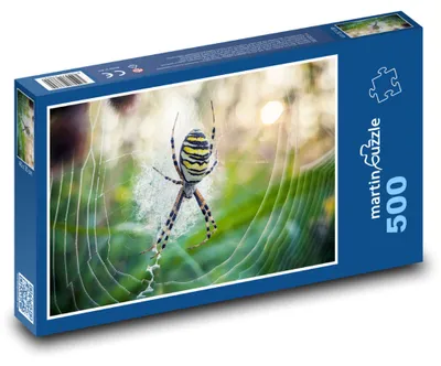 Zdjęcie produktu dla martinpuzzle - Puzzle 500 elementów - Pavouk