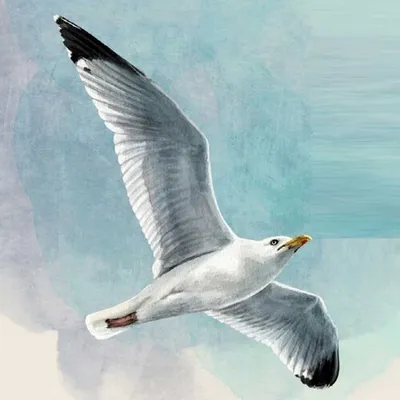 Produktbild von 20 Servietten Seagull - Möwe am Himmel 33x33cm