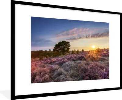 Produktbild von MuchoWow® Gerahmtes Poster Heide bei Sonnenuntergang 90x60 cm - Poster mit Schwarzem Bilderrahmen Wandposter Rahmen Foto Bilder - Wanddekoration - Fotos