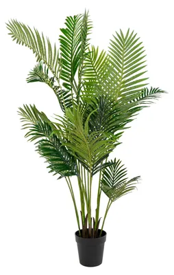 Zdjęcie produktu dla Sztuczna roślina PALMA Areca 175 cm w czarnej doniczce