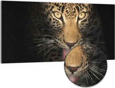 Produktbild von DEQORI Hybrid Leinwand Bild 100x50 cm 'Schattenraubkatze' Wandbild Glas flach modern