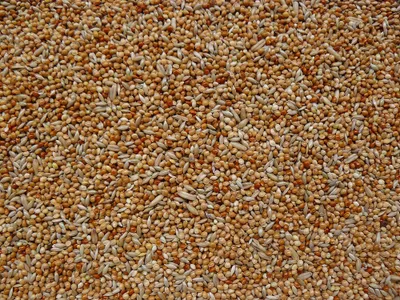 Produktbild von Wellensittichfutter 25 kg
