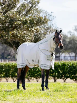 Productafbeelding van Vliegendeken Paard - Insecten deken - Bescherming tegen insecten - UV bescherming 85% - 6ft6 - Steen