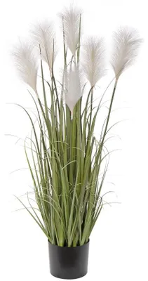 Image de Gazon synthétique blanc Siergras, hauteur 100 cm