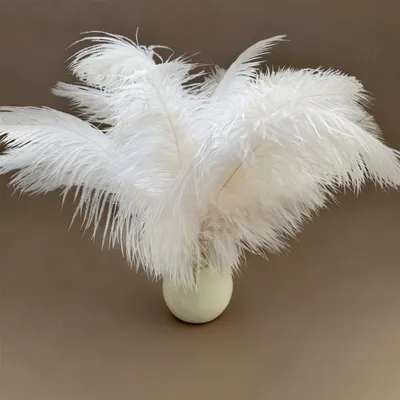 Produktbild von Straußenfedern - Natürlich und flauschig - Dekoration und Basteln - 10 Stück - Weiß - 25–30 cm
