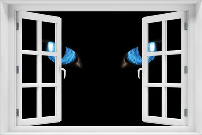 Produktbild von Wallario Poster mit Fenster-Illusion: Blaue Katzenaugen bei Nacht, Größe: 61 x 91,5 cm (Maxiposter)