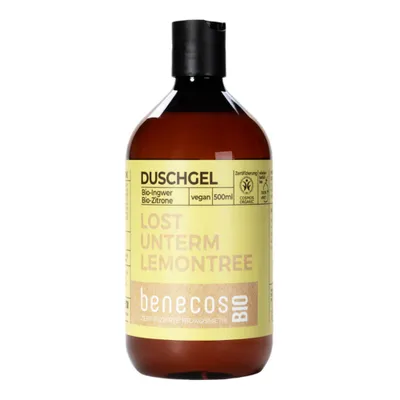 Produktbild von Ingwer Zitrone - Duschgel 500ml