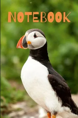 Produktbild von Puffin Notebook