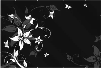 Produktbild von Wallario Wandbild Blumenranke in Schwarz-Weiß, Größe: 61 x 91,5 cm, Poster mit rahmenlosen Bildhalter