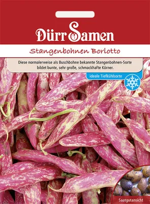 Produktbild von Dürr-Samen - Stangenbohnen Borlotto-Typ - Saatgut - 0321