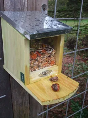 Produktbild von Eichhörnchen Futterhaus Futterautomat Futterstelle