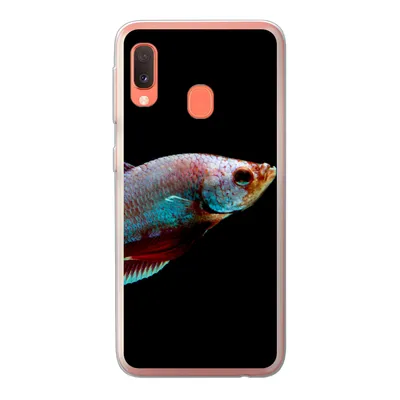 Produktbild von MuchoWow® Handyhülle Schutzhülle Hülle für Samsung Galaxy A20e Fische - Tiere - Licht Silikon Softcase Handy Hülle