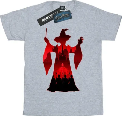 Obrázok produktu pre Harry Potter - dámske tričko BI26767 (L) (sivá)