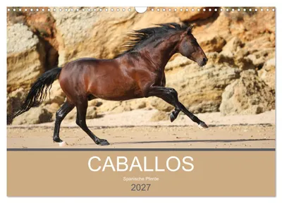 Productafbeelding van Caballos: Spaanse paarden 2027 (Wandkalender 2027, formaat DIN A3, liggend), CALVENDO: Maandkalender